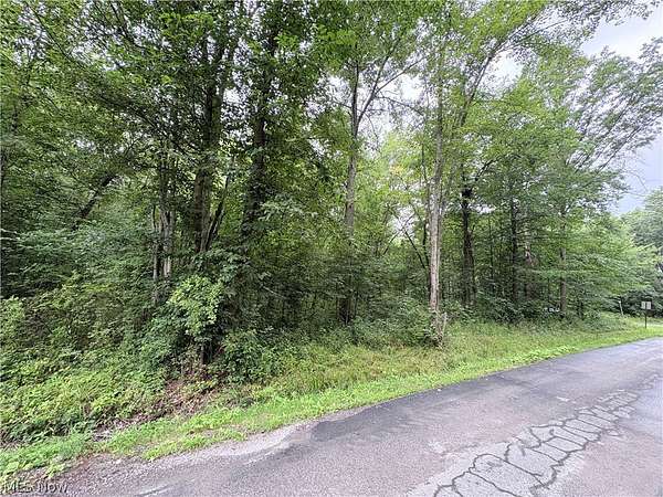 0.34 Acres of Residential Land for Sale in Alliance, Ohio