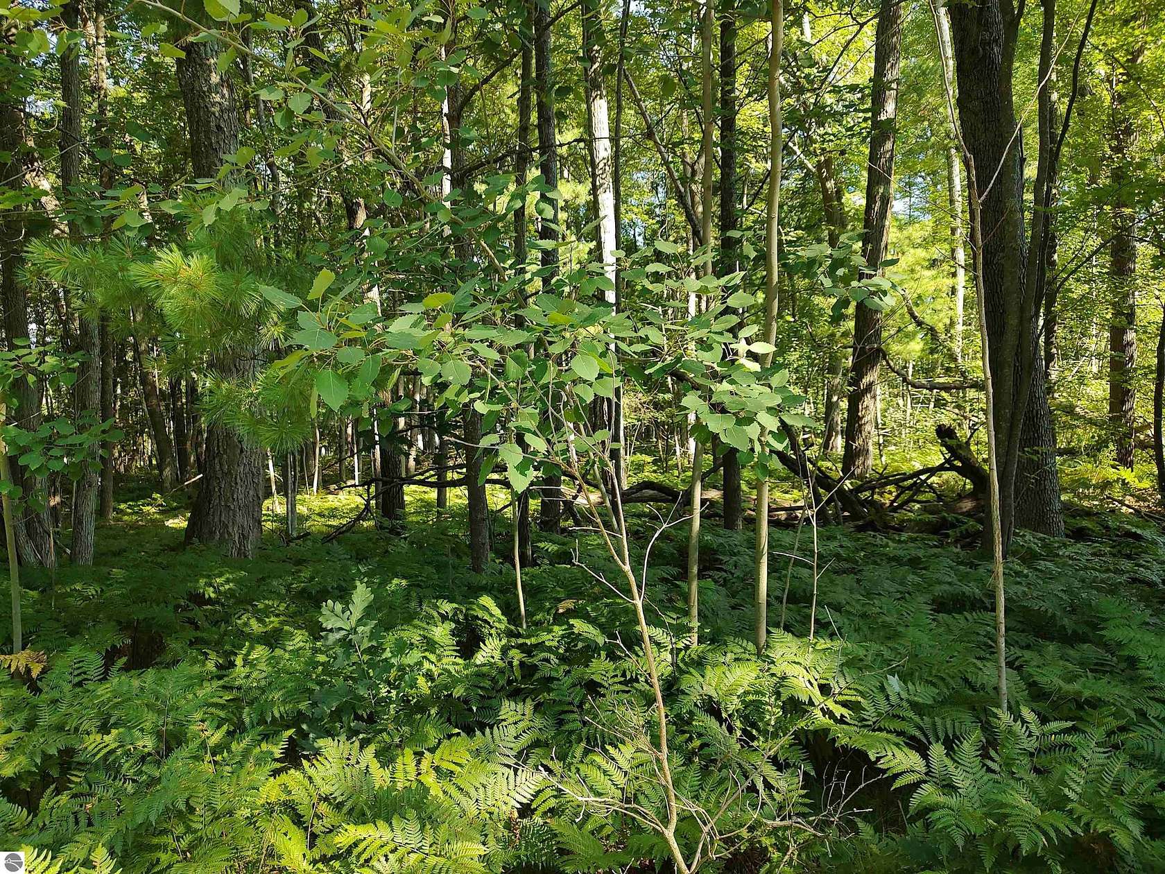 0.51 Acres of Land for Sale in West Branch, Michigan