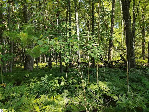 0.51 Acres of Land for Sale in West Branch, Michigan