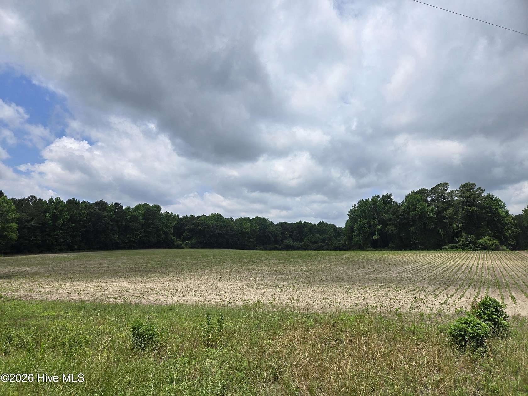 57 Acres of Recreational & Residential Land for Sale in Williamston, North Carolina