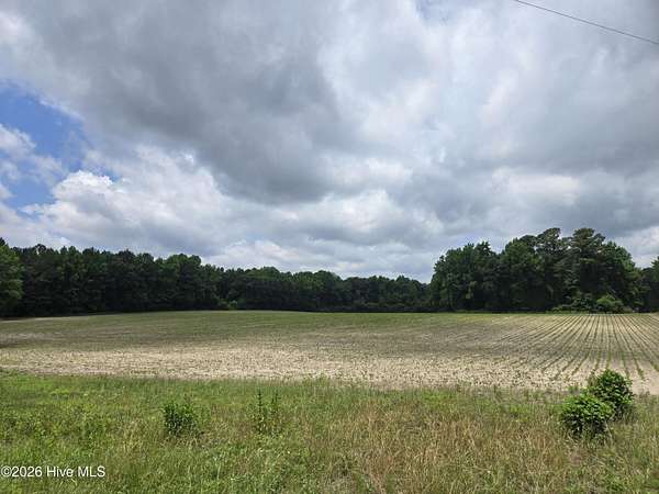 57 Acres of Recreational & Residential Land for Sale in Williamston, North Carolina