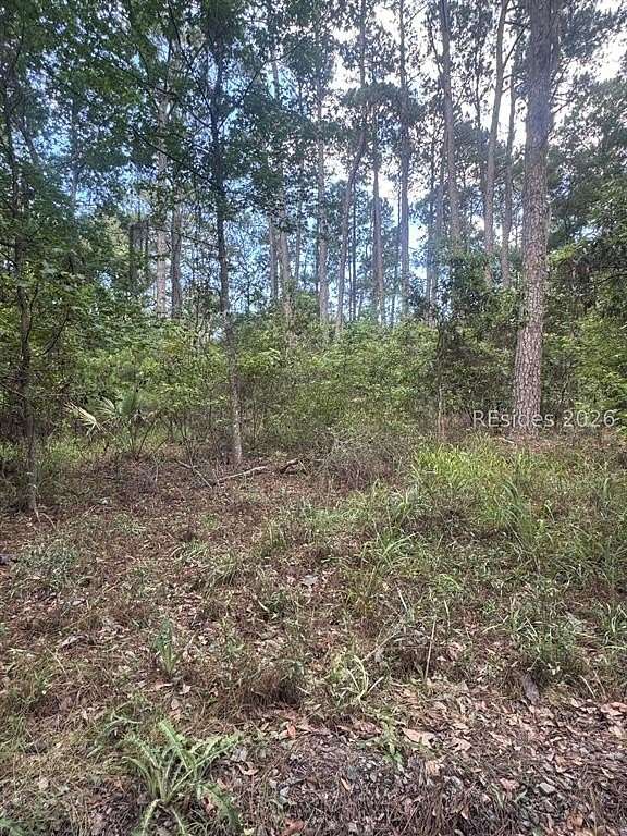 0.52 Acres of Residential Land for Sale in Daufuskie Island, South Carolina