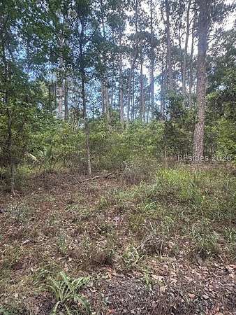 0.52 Acres of Residential Land for Sale in Daufuskie Island, South Carolina
