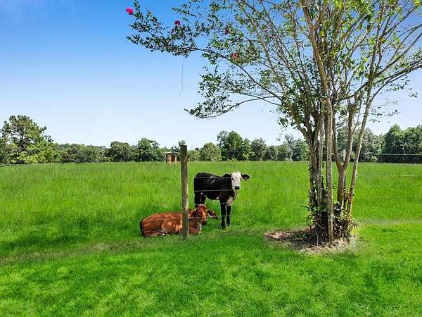 33.5 Acres of Land with Home for Sale in Jasper, Texas