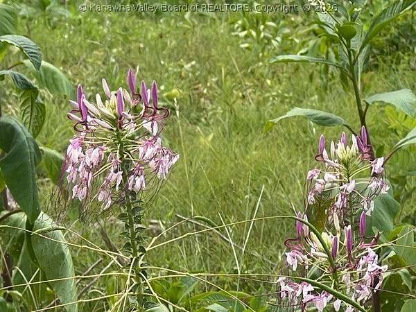Residential Land for Sale in St. Albans, West Virginia