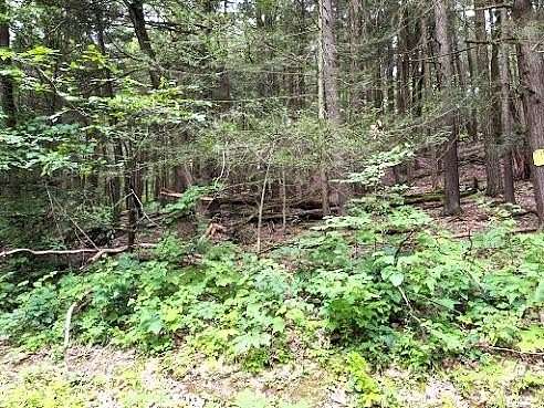 2.82 Acres of Land for Sale in Binghamton, New York