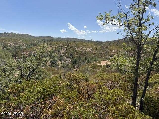 1 Acre of Residential Land for Sale in Show Low, Arizona