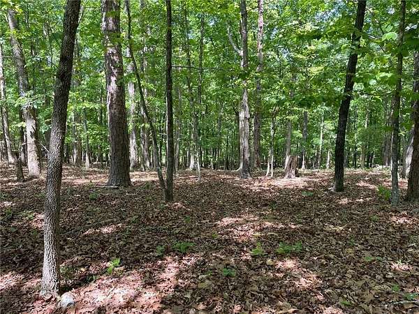 5 Acres of Residential Land for Sale in Cave Spring, Georgia