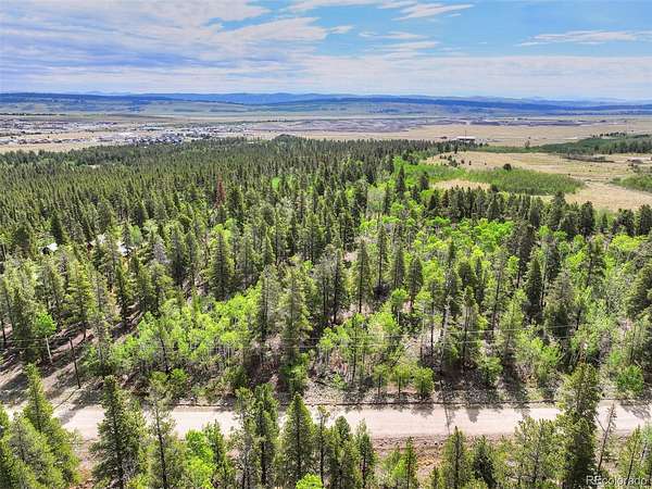 2 Acres of Residential Land for Sale in Fairplay, Colorado