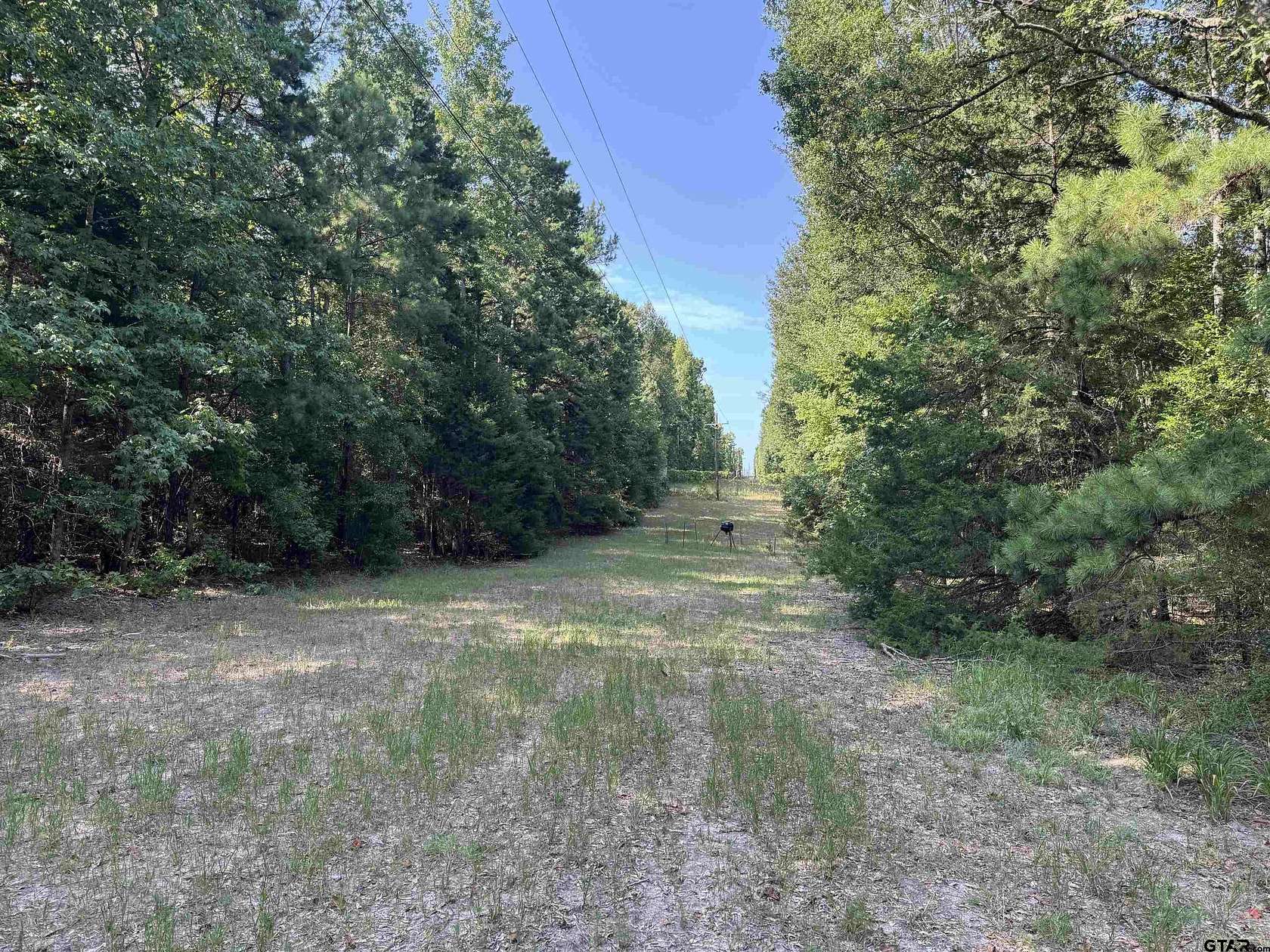 43.6 Acres of Recreational & Residential Land for Sale in Palestine, Texas