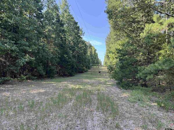 43.6 Acres of Recreational & Residential Land for Sale in Palestine, Texas