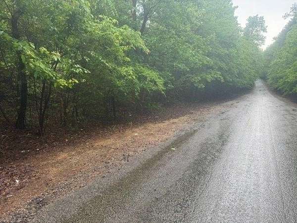 14.2 Acres of Land for Sale in Medon, Tennessee