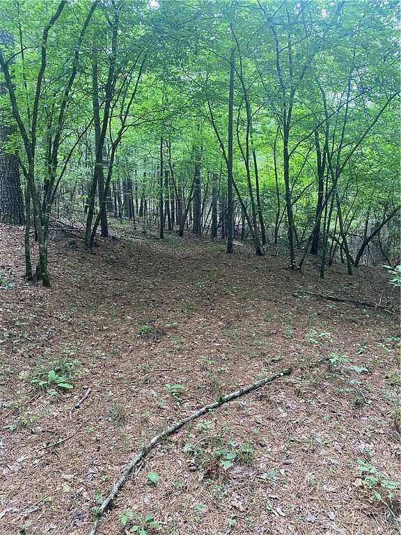 47 Acres of Recreational Land for Sale in Oark, Arkansas