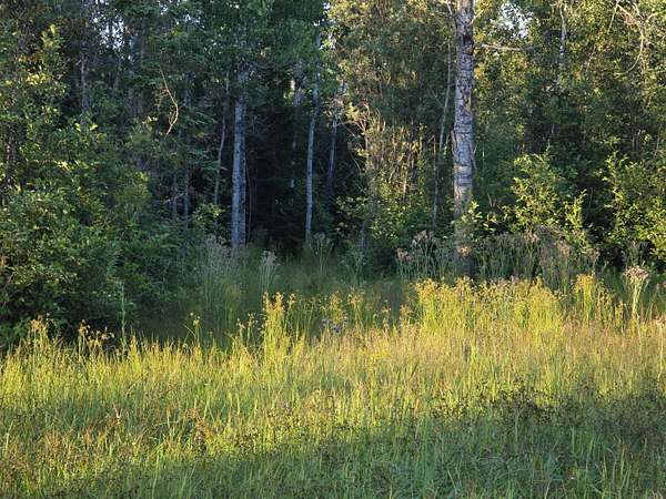 40 Acres of Recreational Land for Sale in Rudyard, Michigan