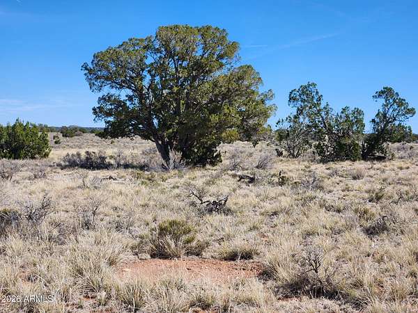1 Acre of Land for Sale in Williams, Arizona