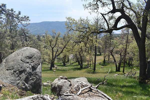 9 Acres of Land for Sale in Tehachapi, California