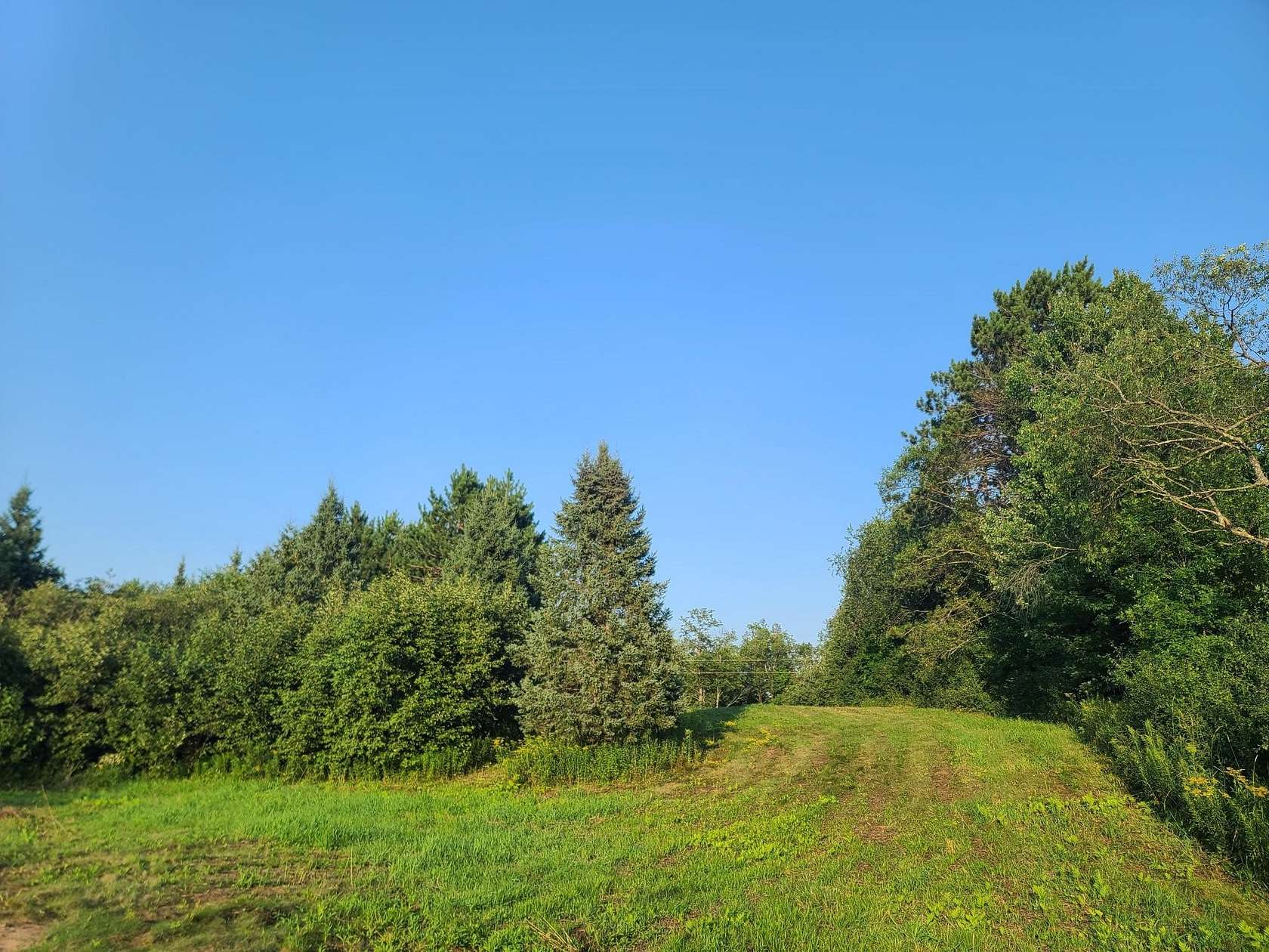 80 Acres of Agricultural & Residential Land for Sale in Kennan, Wisconsin