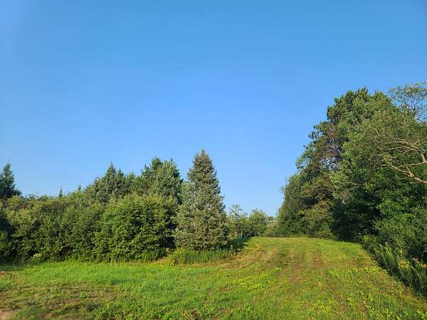 80 Acres of Agricultural & Residential Land for Sale in Kennan, Wisconsin