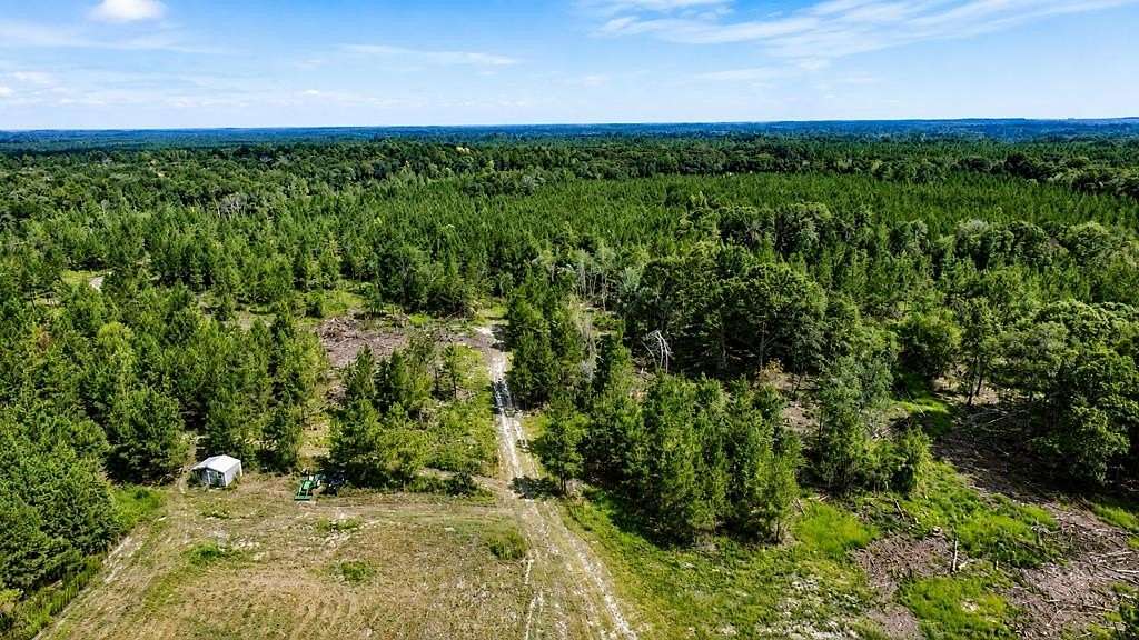 86.7 Acres of Recreational Land for Sale in Cordele, Georgia