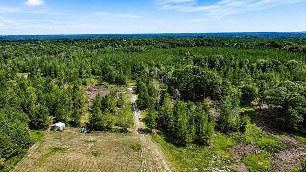 86.7 Acres of Recreational Land for Sale in Cordele, Georgia