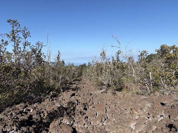 1 Acre of Land for Sale in Hawaiian Ocean View, Hawaii