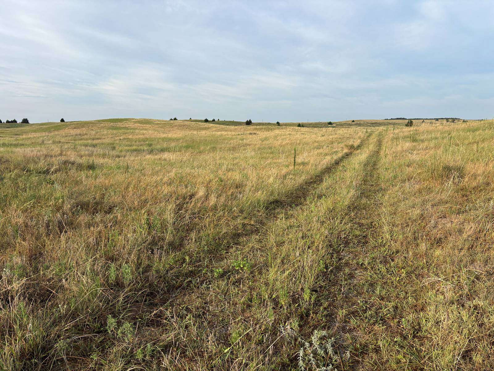 49.5 Acres of Agricultural & Residential Land for Sale in North Platte, Nebraska