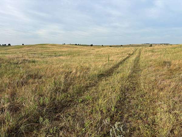 49.5 Acres of Agricultural & Residential Land for Sale in North Platte, Nebraska