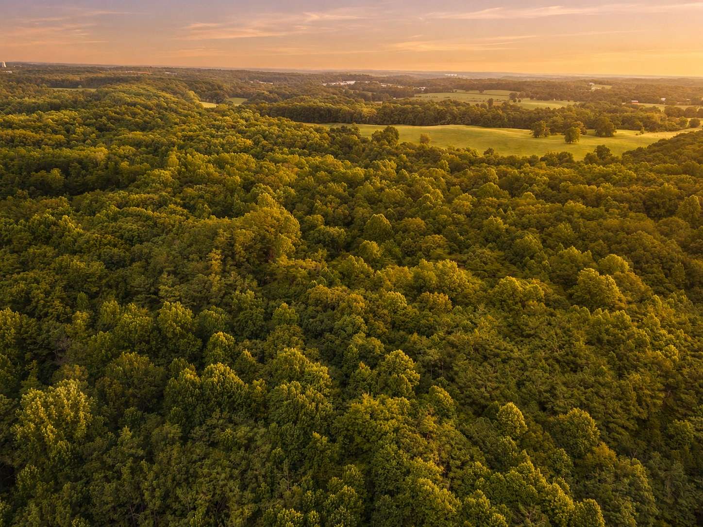 16.2 Acres of Land for Sale in Dickson, Tennessee
