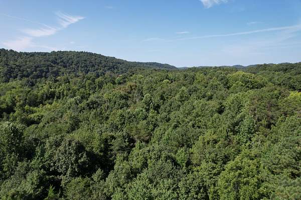 17.3 Acres of Recreational & Residential Land for Sale in Bethpage, Tennessee