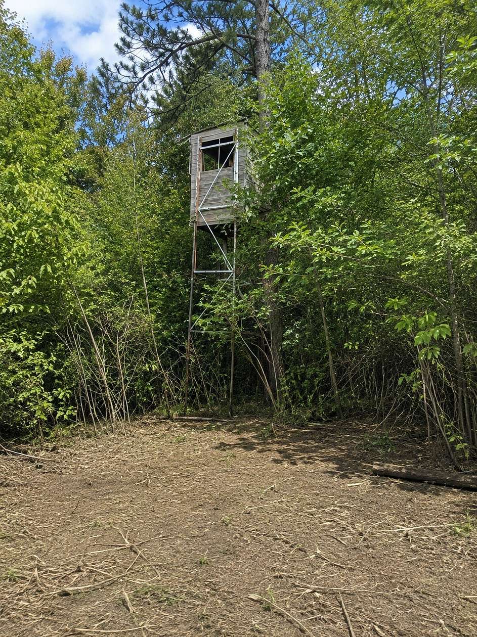 51.7 Acres of Recreational Land for Sale in Nevis, Minnesota