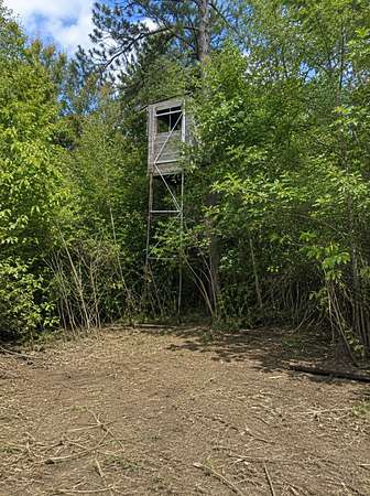 51.7 Acres of Recreational Land for Sale in Nevis, Minnesota