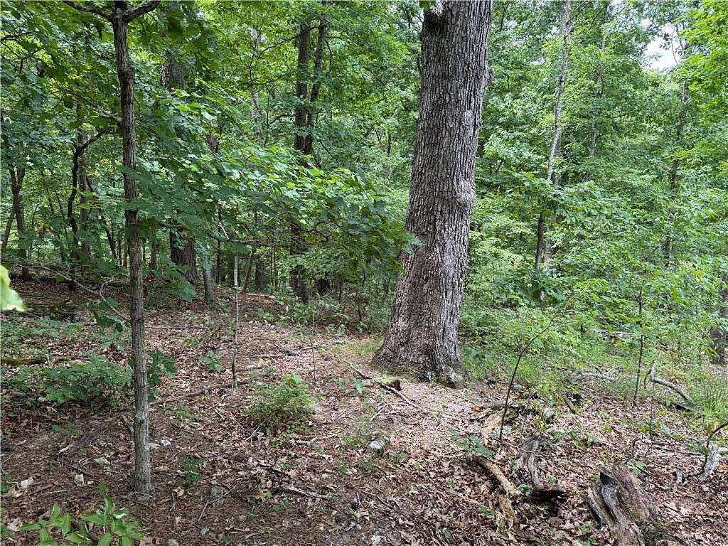 0.53 Acres of Residential Land for Sale in Bella Vista, Arkansas