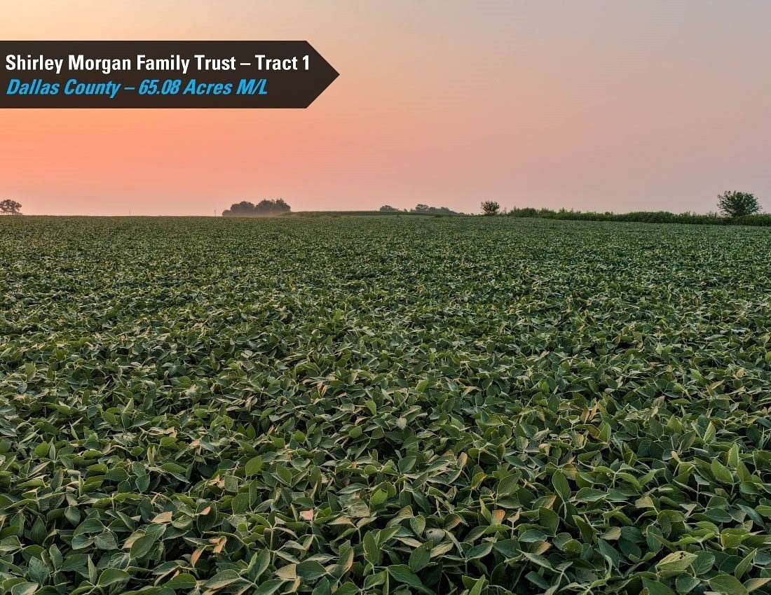 106 Acres of Agricultural Land for Auction in Dallas Center, Iowa