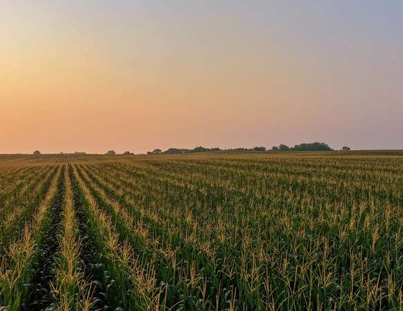 106 Acres of Land for Auction in Dallas Center, Iowa