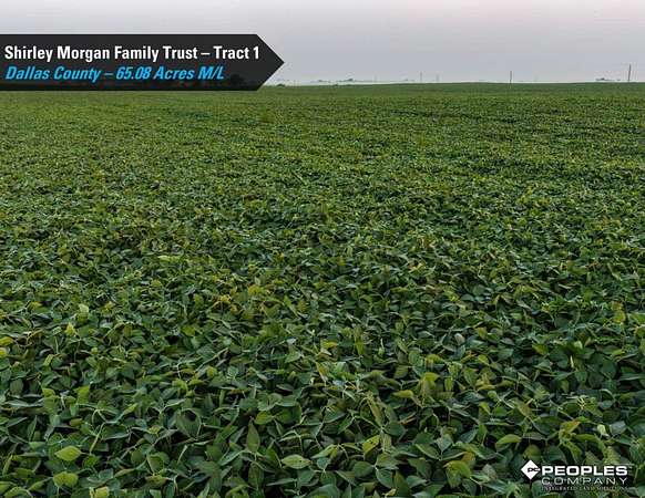 106 Acres of Land for Auction in Dallas Center, Iowa