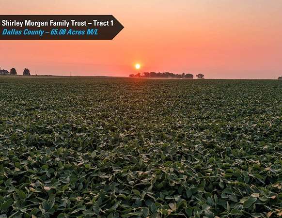 106 Acres of Agricultural Land for Auction in Dallas Center, Iowa