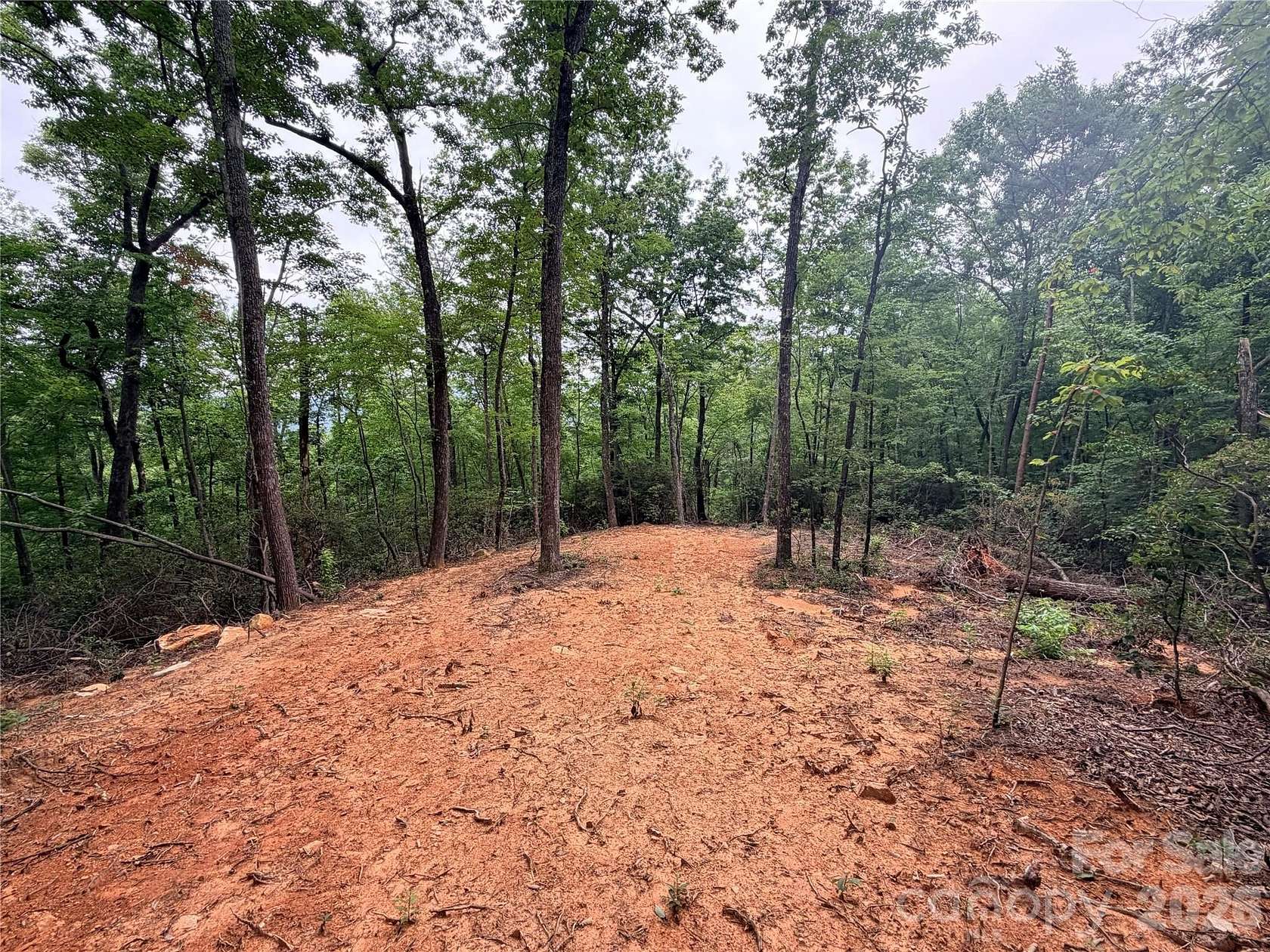 10.8 Acres of Recreational Land for Sale in Lake Lure, North Carolina