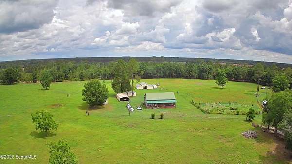 12 Acres of Land with Home for Sale in Hortense, Georgia