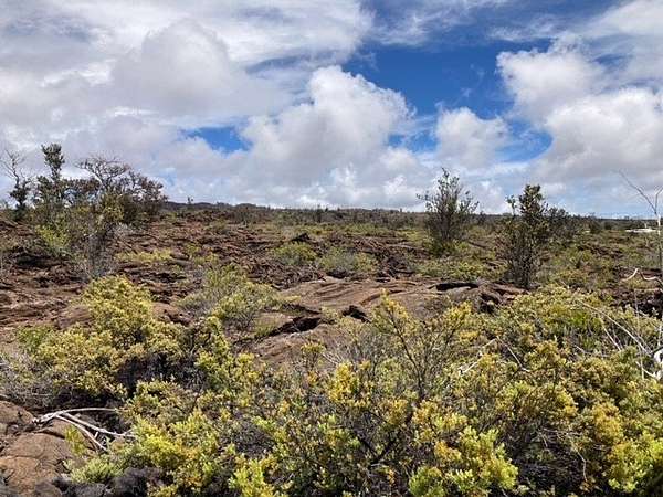 1 Acre of Land for Sale in Hawaiian Ocean View, Hawaii