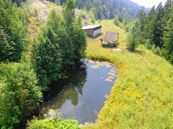 31.3 Acres of Recreational & Residential Land for Sale in Colville, Washington
