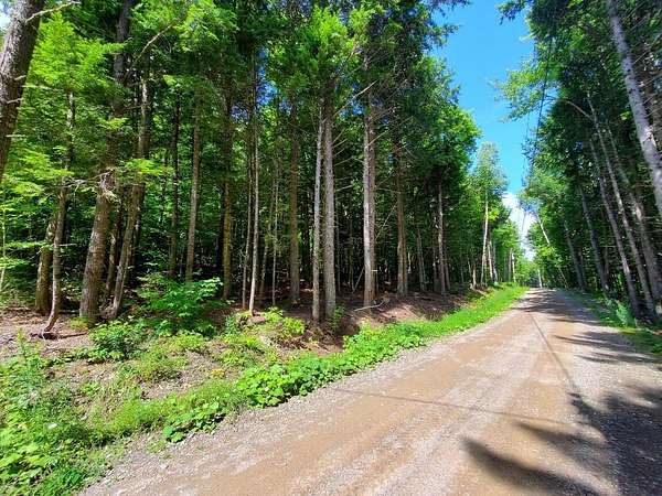 0.92 Acres of Residential Land for Sale in Danforth, Maine