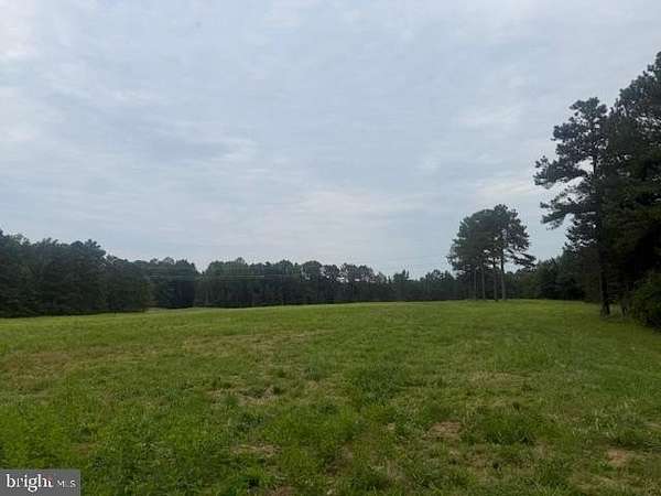 13.9 Acres of Land for Sale in Ruther Glen, Virginia