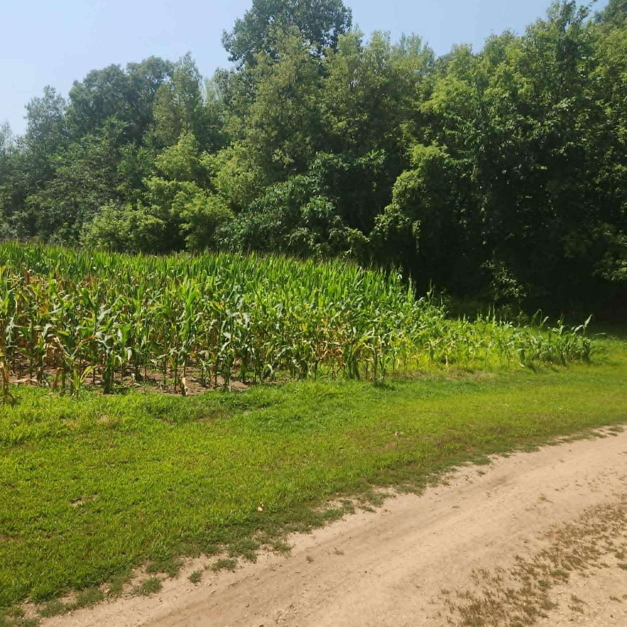 21 Acres of Land for Sale in New Richmond, Wisconsin