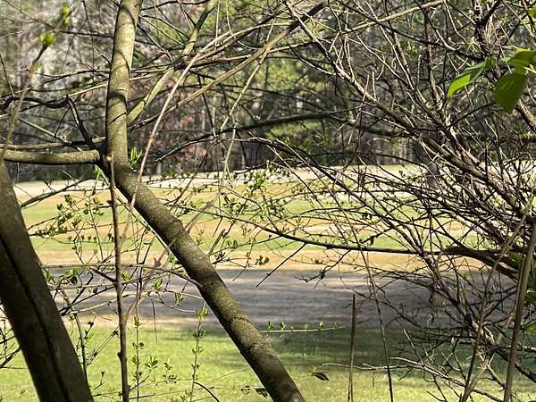 0.26 Acres of Residential Land for Sale in Fairfield Bay, Arkansas