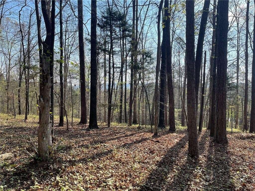 4.49 Acres of Residential Land for Sale in Cave Spring, Georgia
