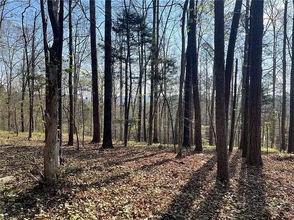 4.49 Acres of Residential Land for Sale in Cave Spring, Georgia