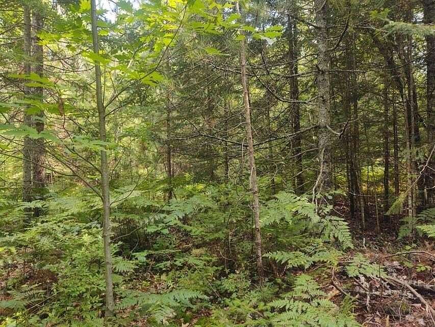 0.26 Acres of Land for Sale in Ocqueoc, Michigan