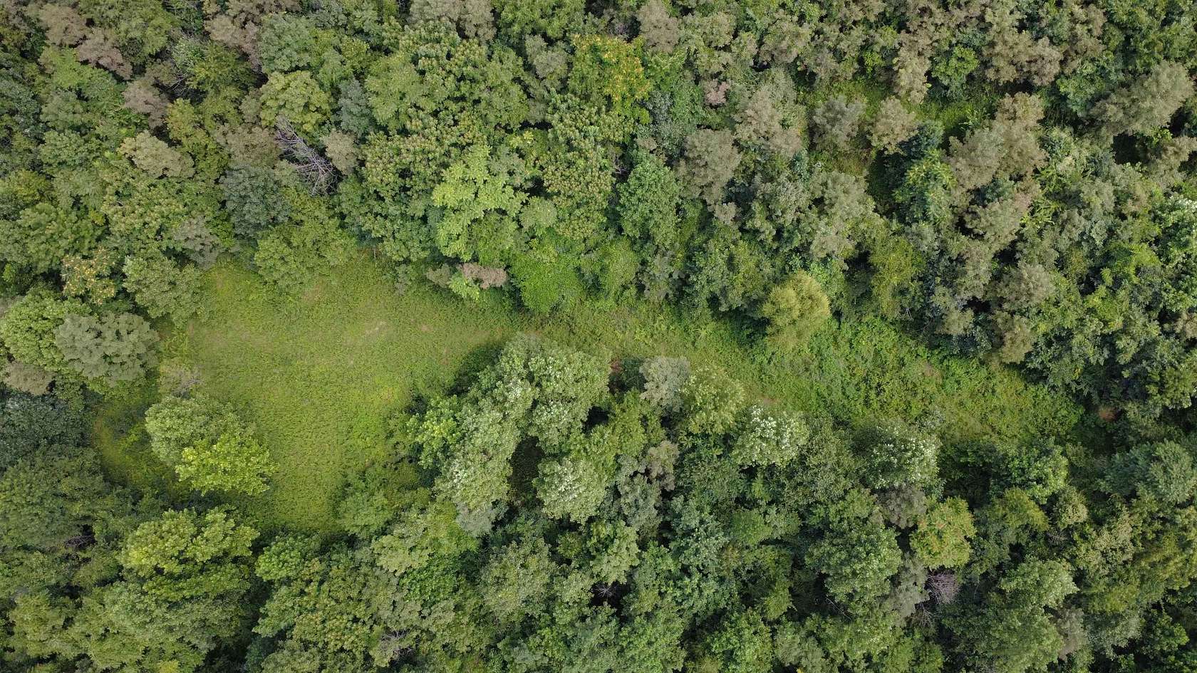 12.8 Acres of Land for Sale in Huntington, West Virginia