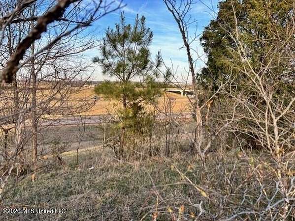 3.9 Acres of Commercial Land for Sale in Byhalia, Mississippi