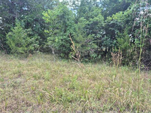 0.51 Acres of Residential Land for Sale in Protem, Missouri